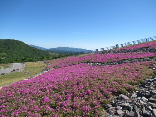 萩太郎山